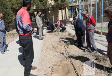 گزارش تصویری مراسم روز درختکاری